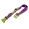 Ferplast Adult Dog Club C10/32 Collar-Purple Color